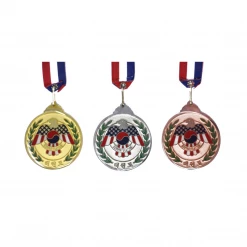 Best Martial Arts / MOOTO USA Awards / Certificates Three Kicker Medal