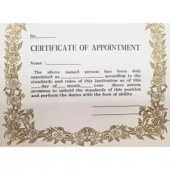 Best Martial Arts / MOOTO USA Certificate