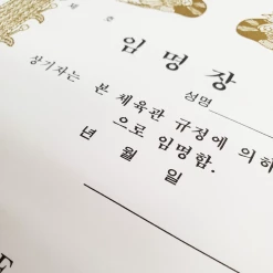 Best Martial Arts / MOOTO USA Certificate