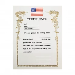 Best Martial Arts / MOOTO USA Awards / Certificates Certificate "Keub" With USA Flag Logo