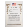 Best Martial Arts / MOOTO USA Certificate "Black Belt Dan" With USA Logo