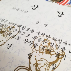 Best Martial Arts / MOOTO USA Certificate