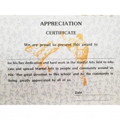 Best Martial Arts / MOOTO USA Certificate "Appreciation" With Flag Logo
