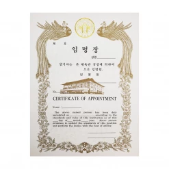 Best Martial Arts / MOOTO USA Awards / Certificates Certificate "Appointment" With OLD WTF Logo