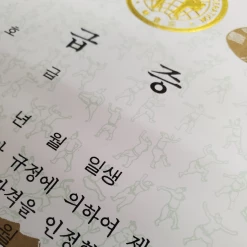 Best Martial Arts / MOOTO USA Certificate