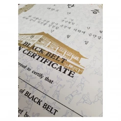 Best Martial Arts / MOOTO USA Certificate