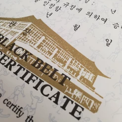 Best Martial Arts / MOOTO USA Awards / Certificates Certificate