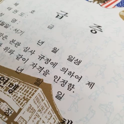 Best Martial Arts / MOOTO USA Certificate