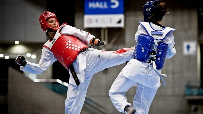 Best Martial Arts Sales Store -Best Martial Arts Sales Store 345634534